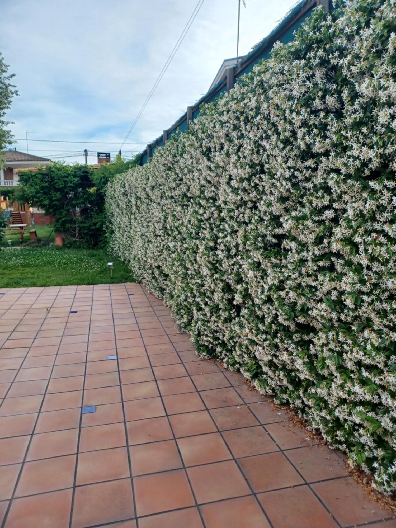 Piscina De Sal Barbacoa Wifi, Parking Gratis, 3 Min Pga Casa El Roble Villa Girona Eksteriør billede